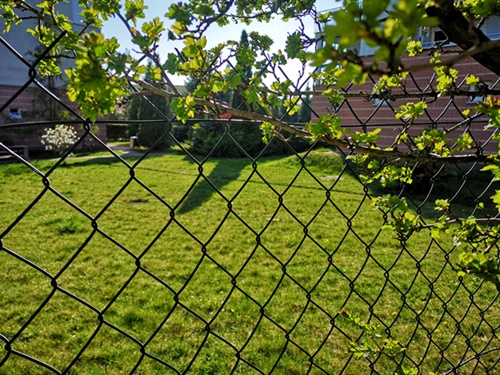 siatka ocynkowana na kojec dla pieska